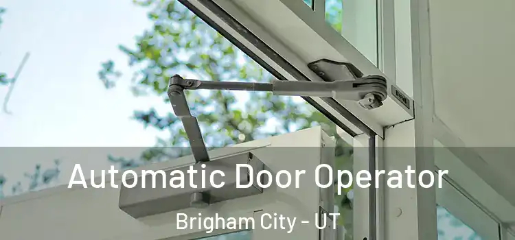 Automatic Door Operator Brigham City - UT