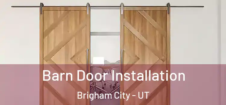  Barn Door Installation Brigham City - UT