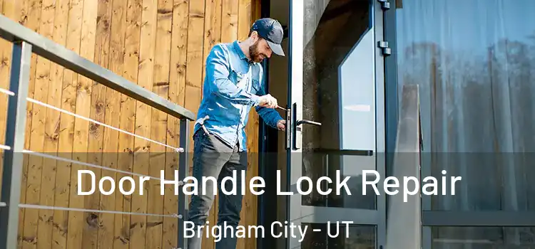  Door Handle Lock Repair Brigham City - UT
