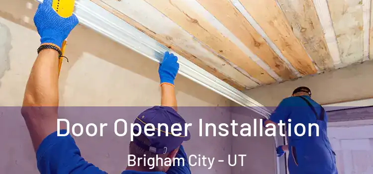 Door Opener Installation Brigham City - UT