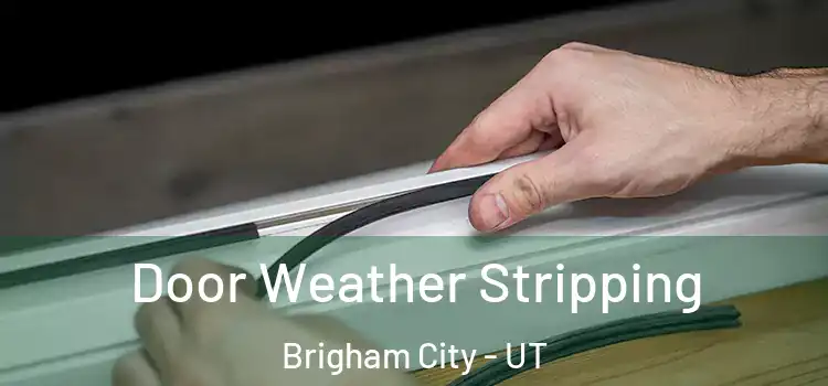  Door Weather Stripping Brigham City - UT