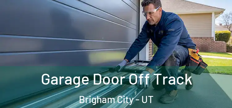  Garage Door Off Track Brigham City - UT