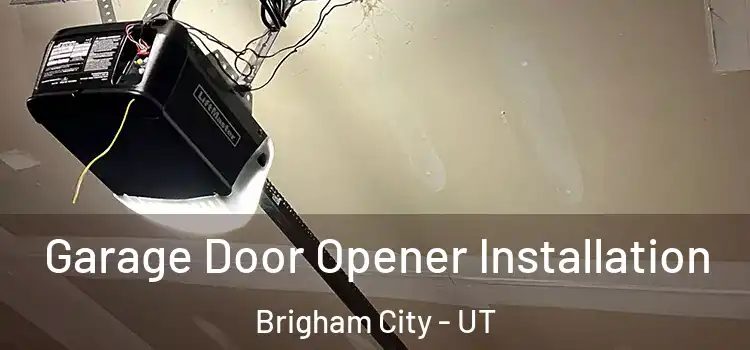  Garage Door Opener Installation Brigham City - UT