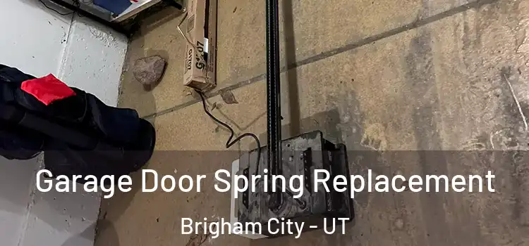  Garage Door Spring Replacement Brigham City - UT