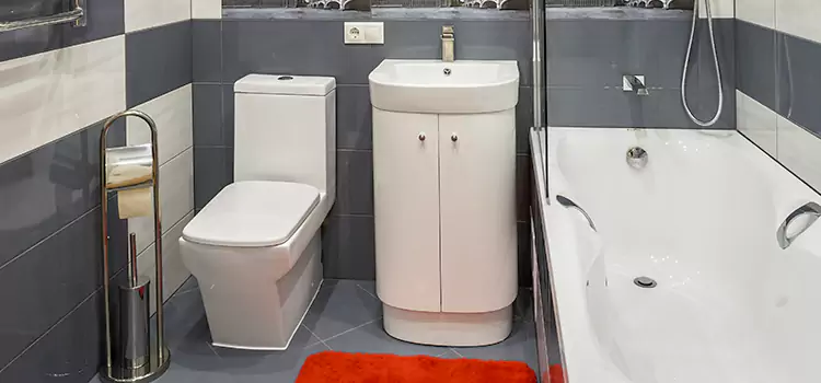 Hansgrohe Shaving Mirror Brigham City