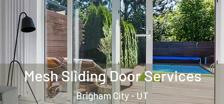 Mesh Sliding Door Services Brigham City - UT