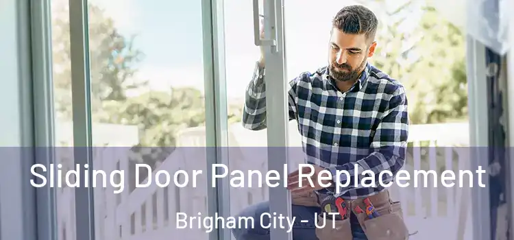  Sliding Door Panel Replacement Brigham City - UT